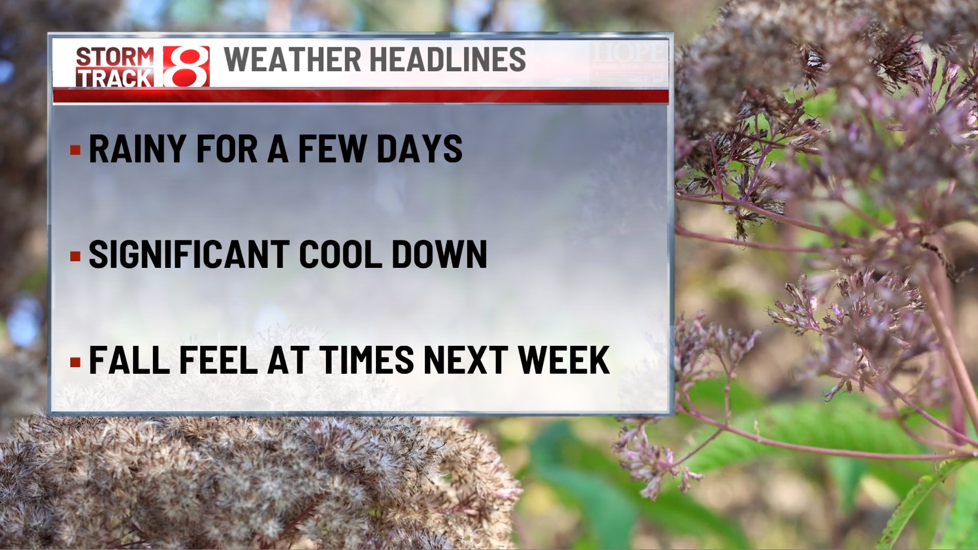 One more warm Sunday before a cool, damp start to the week | Sep. 19, 2026