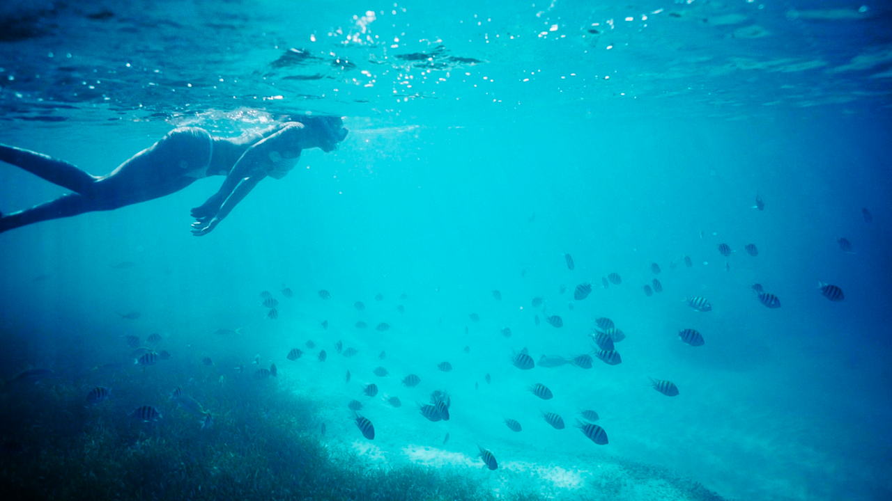 I filmed something amazing underwater with these fish