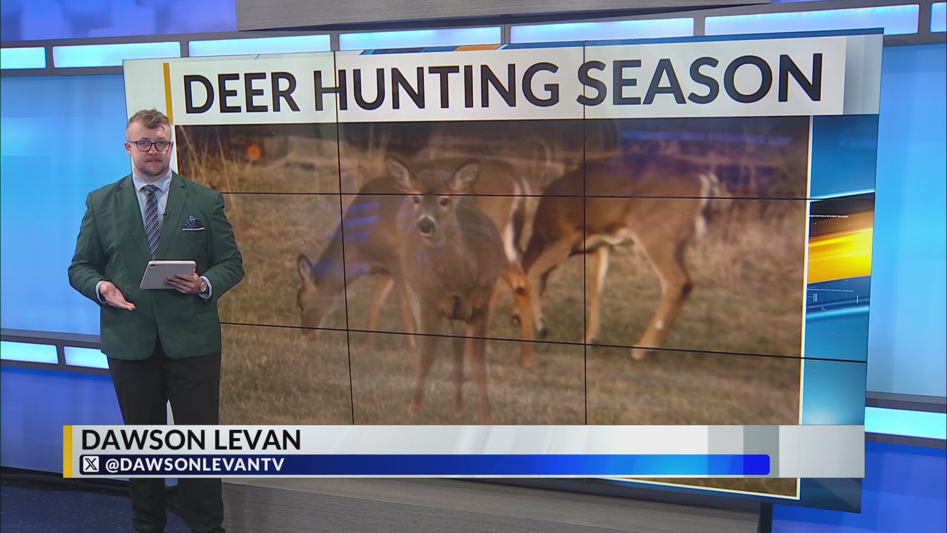 DEC officials saying antlerless deer population is causing problems