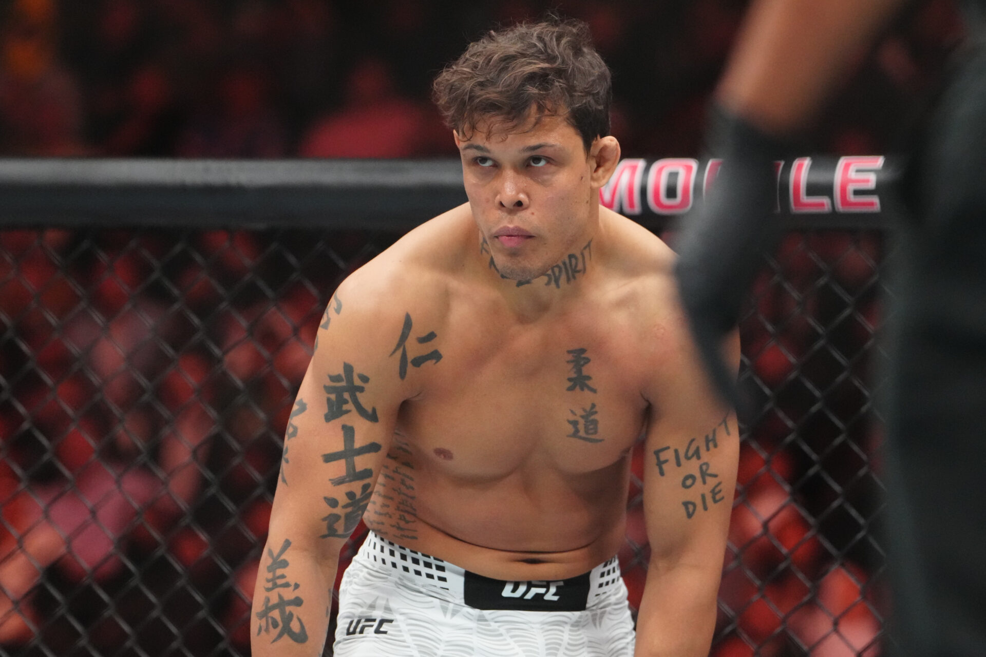 UFC 334 full card announced, heavyweight title fight headlines massive ...