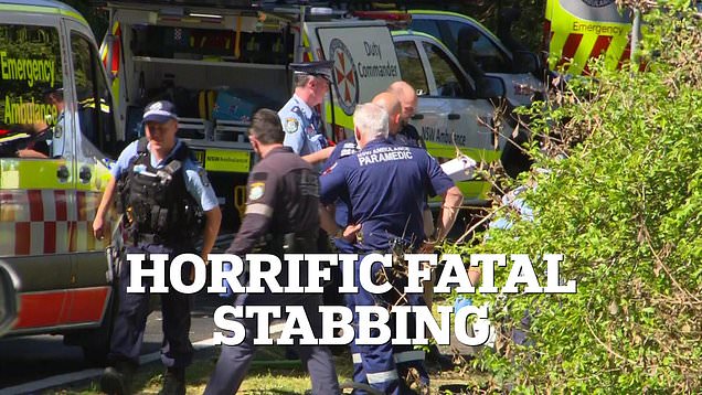 Stabbing in the Blue Mountains leaves three injured and one dead