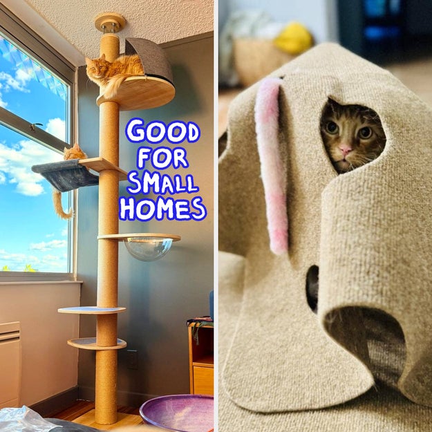Got at least two cats running around your home? Check out these 37 products