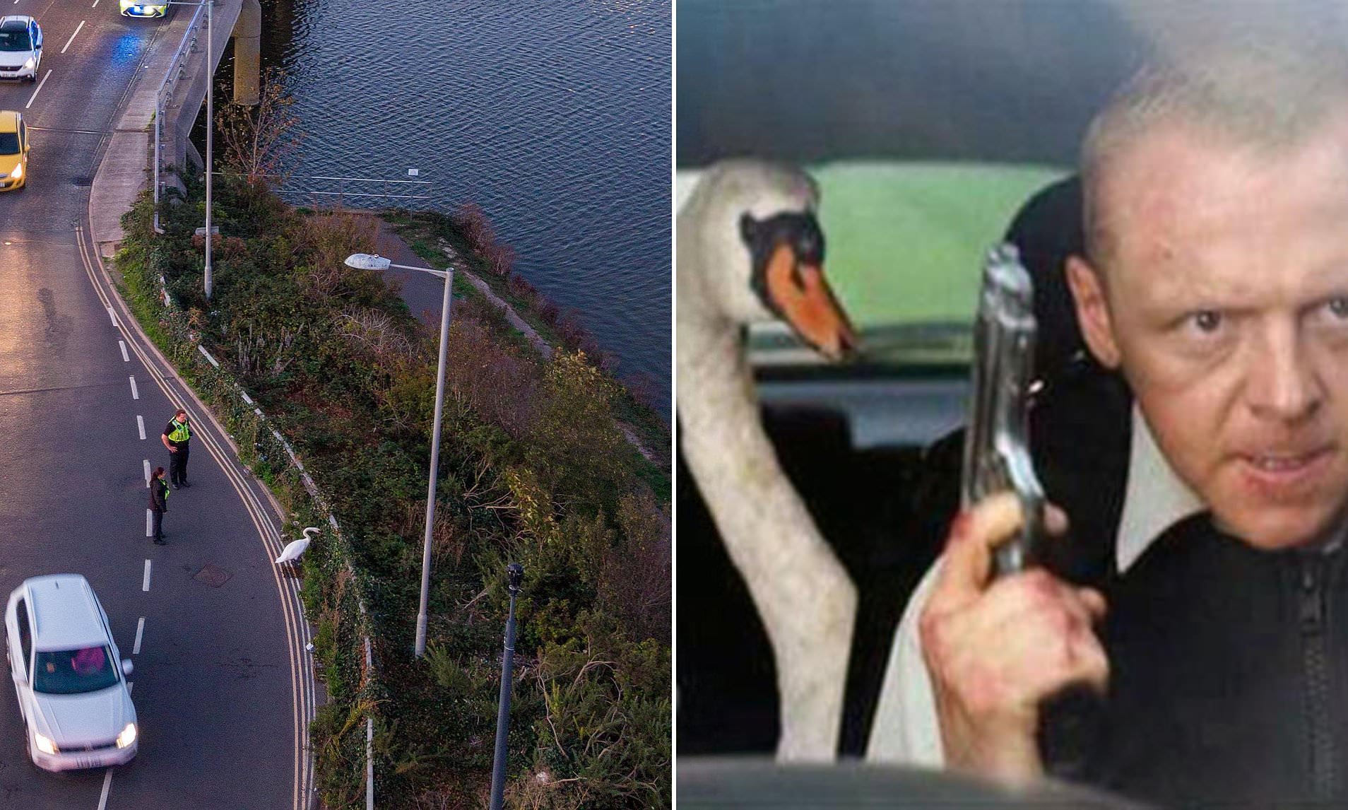 Police deal with real-life Hot Fuzz moment as they try and capture ...