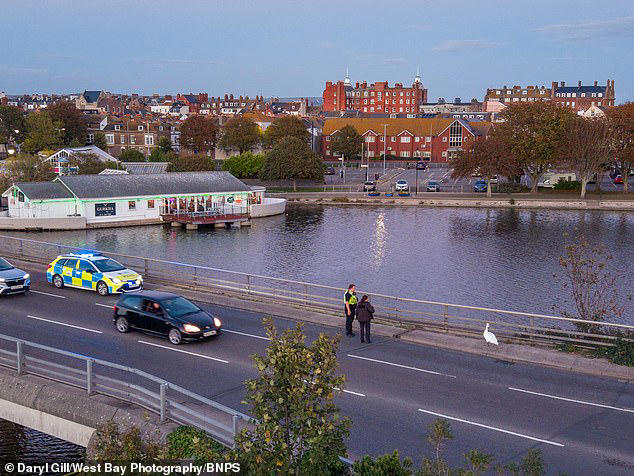 Police deal with real-life Hot Fuzz moment as they try and capture ...