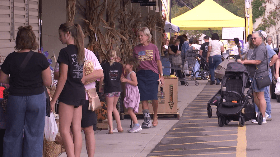 South Charleston Farmers Market celebrates fall season with Apple Festival