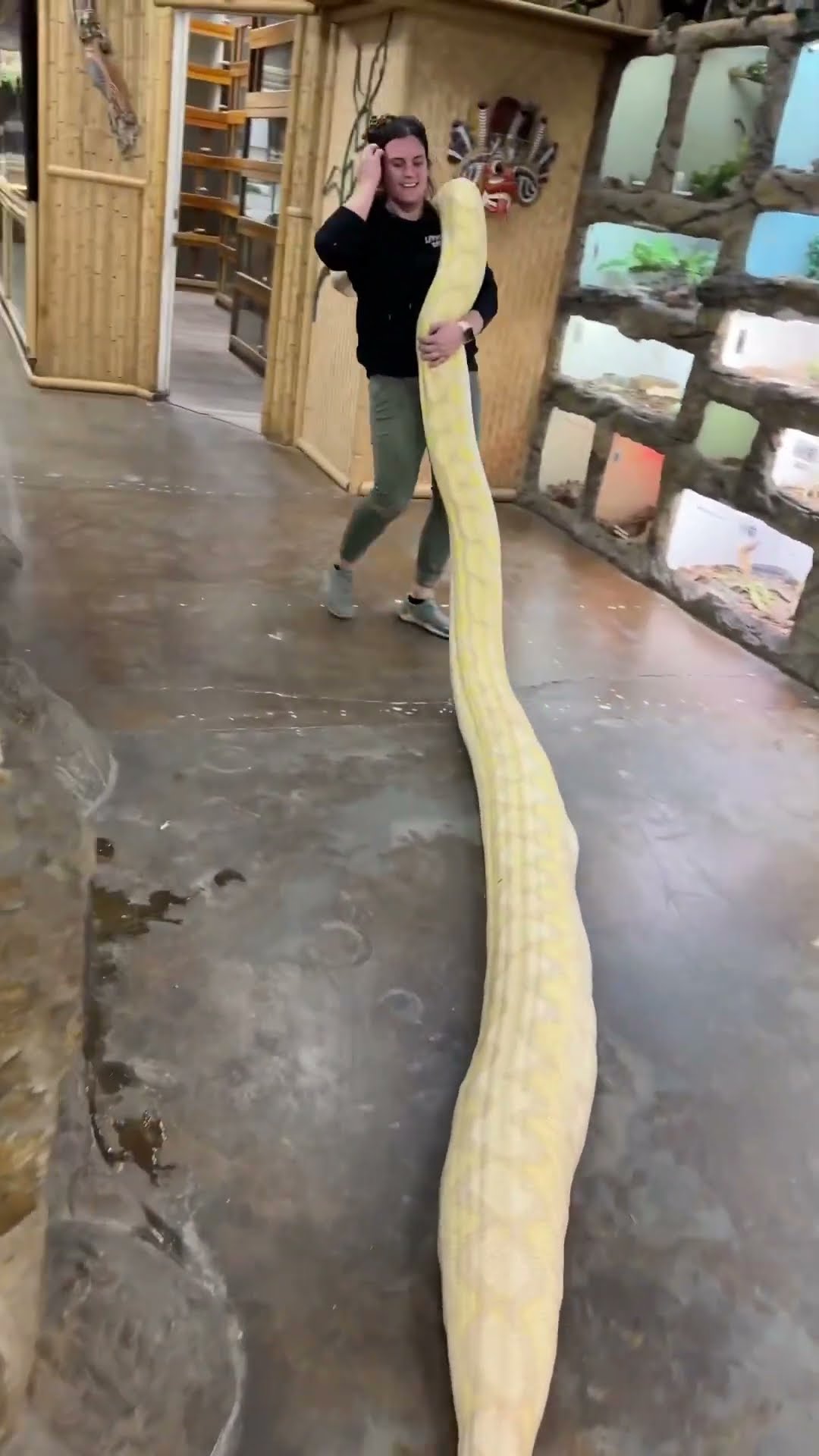 Moving this albino python turned into a full workout