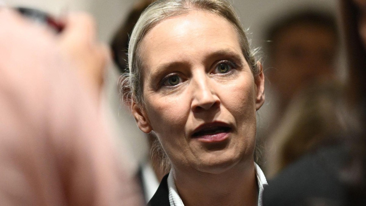 Weidel: „Die Linke will Reiche erschießen“ – Was steckt hinter dieser ...