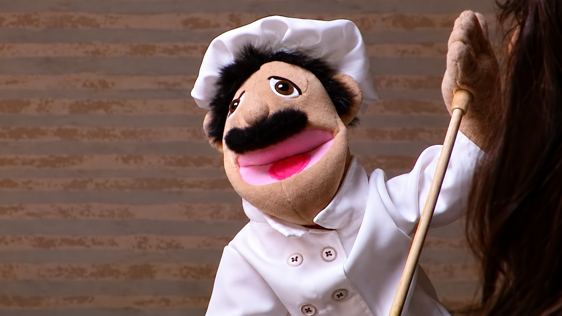 VIP concert reward with Celine Dion leads to a bizarre puppet surprise