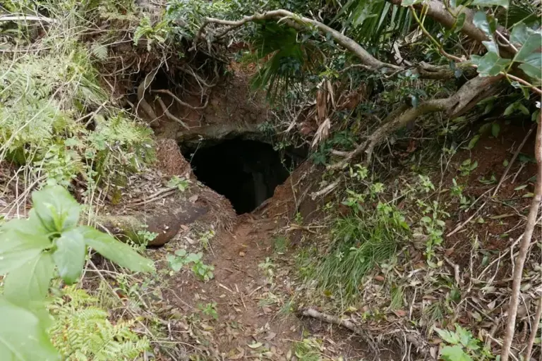A million-year-old cave uncovers secrets from a world before humans existed