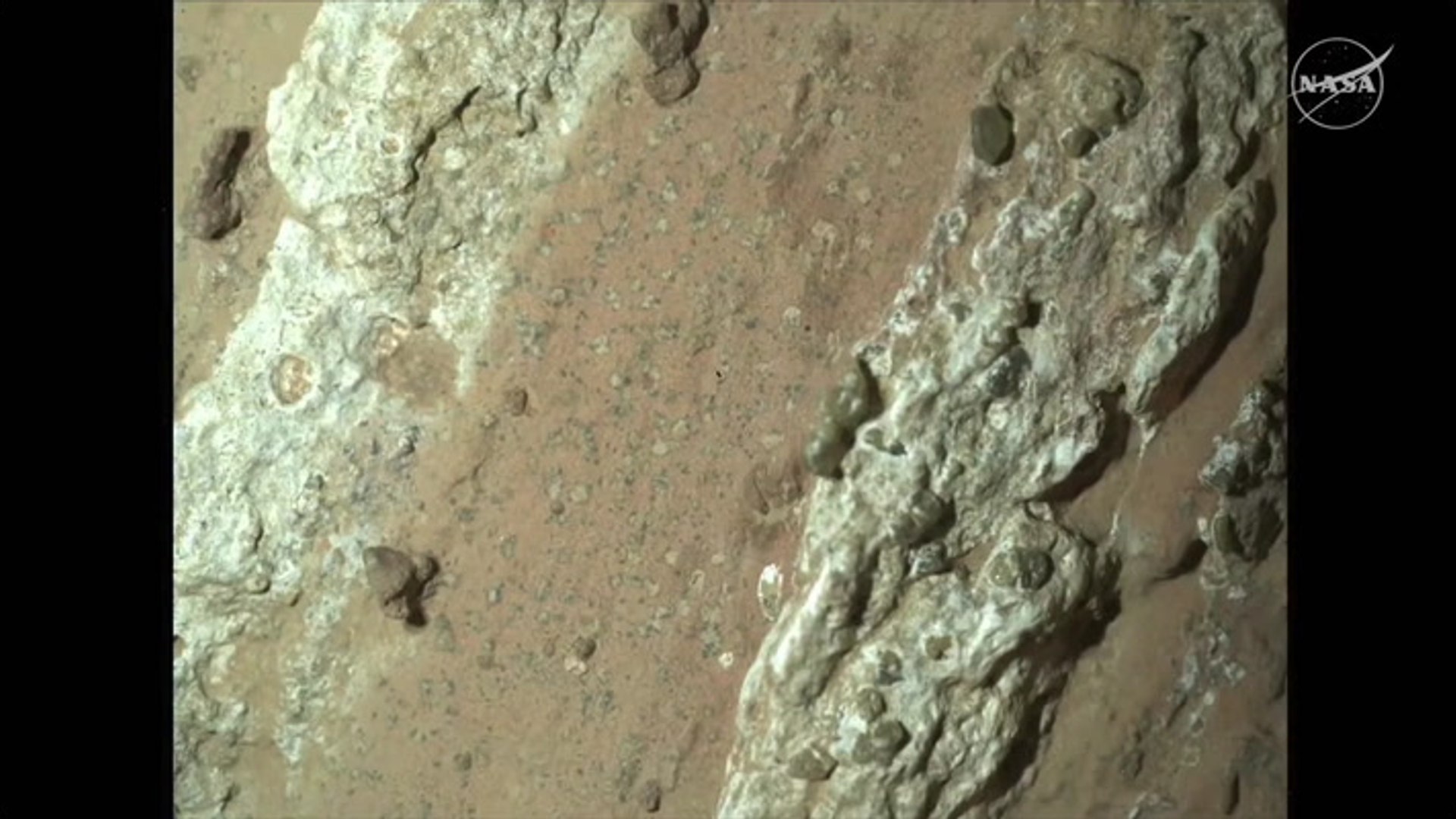 Life on ancient Mars? NASA explains Perseverance rover's latest update