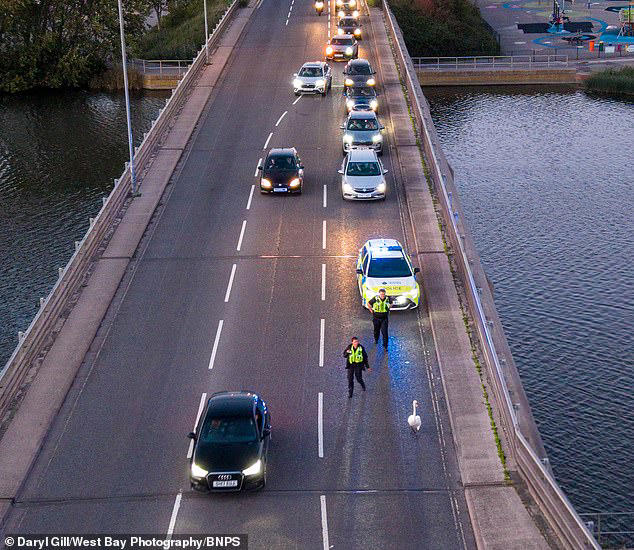 Police deal with real-life Hot Fuzz moment as they try and capture ...