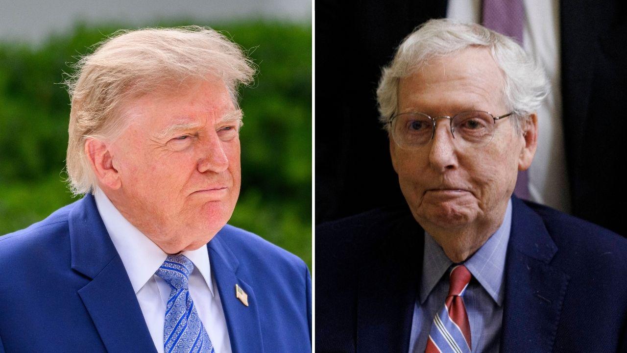 Donald Trump and Mitch McConnell hand bruises renew health questions ...