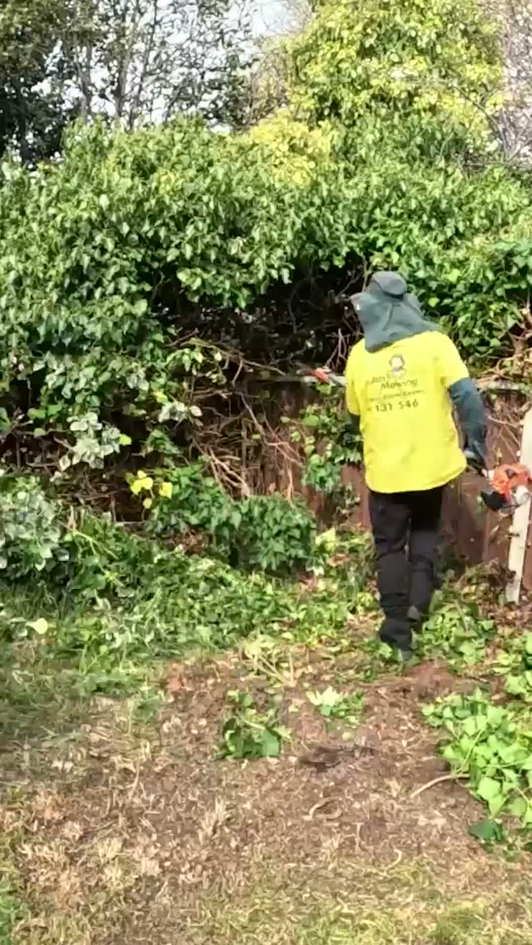 This yard needed serious work