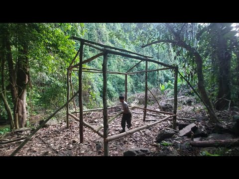 Raising chickens and ducks in the woods