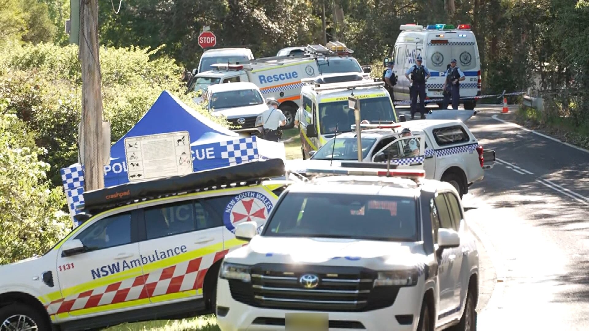 Mother charged with murder after three children stabbed in the NSW Blue ...