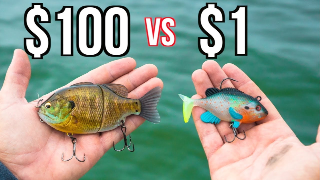 Cheap vs expensive swimbait fishing challenge