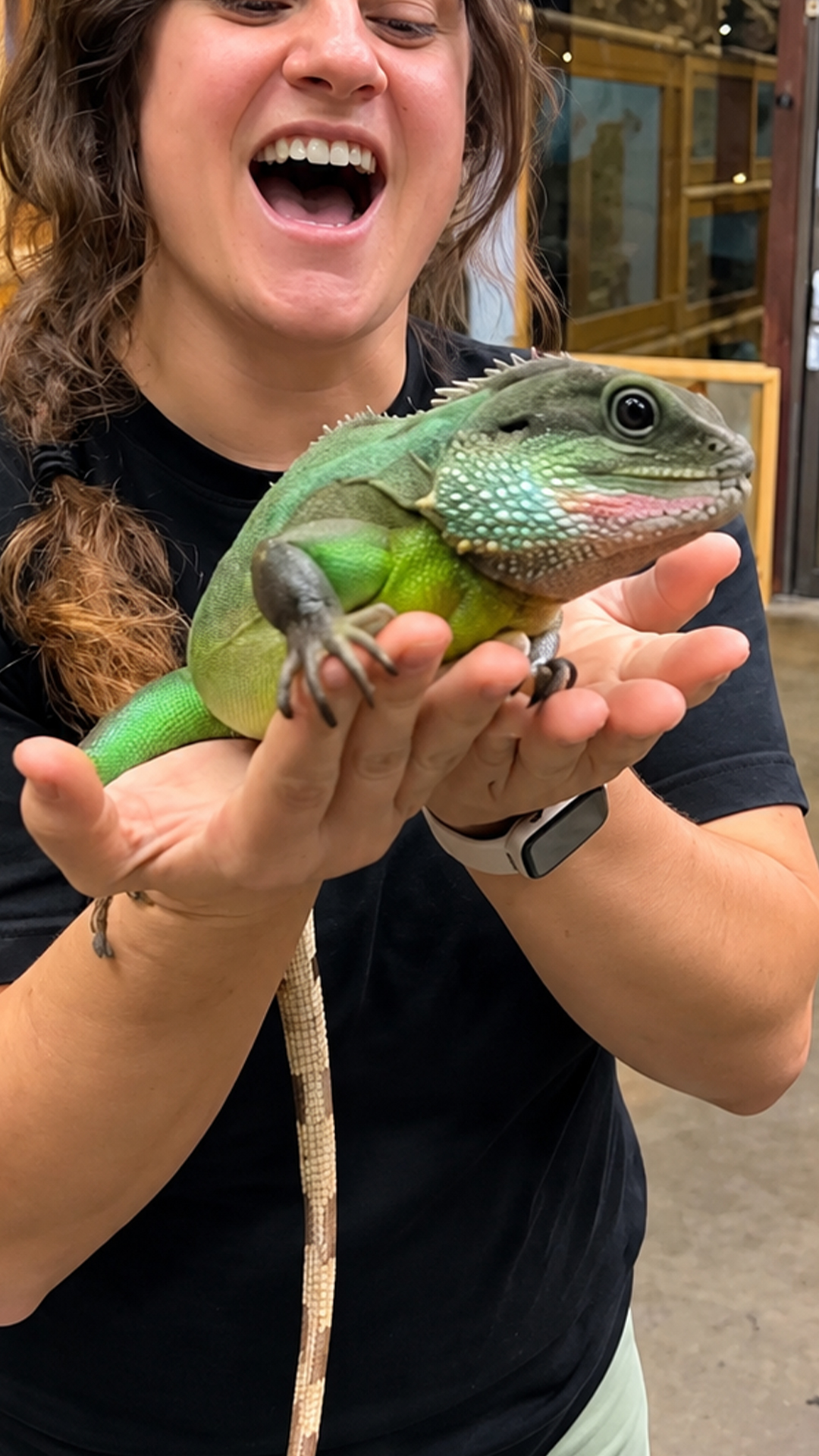 Custom water dragon habitat shows creative reptile care design