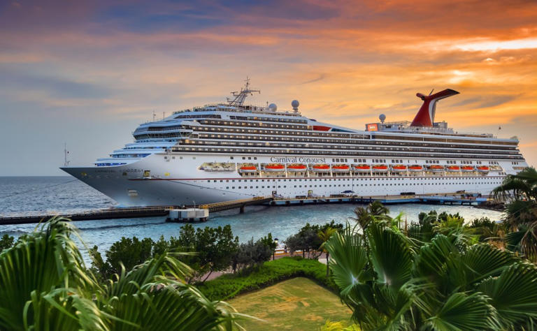Passenger jumps overboard from Carnival cruise ship before California ...