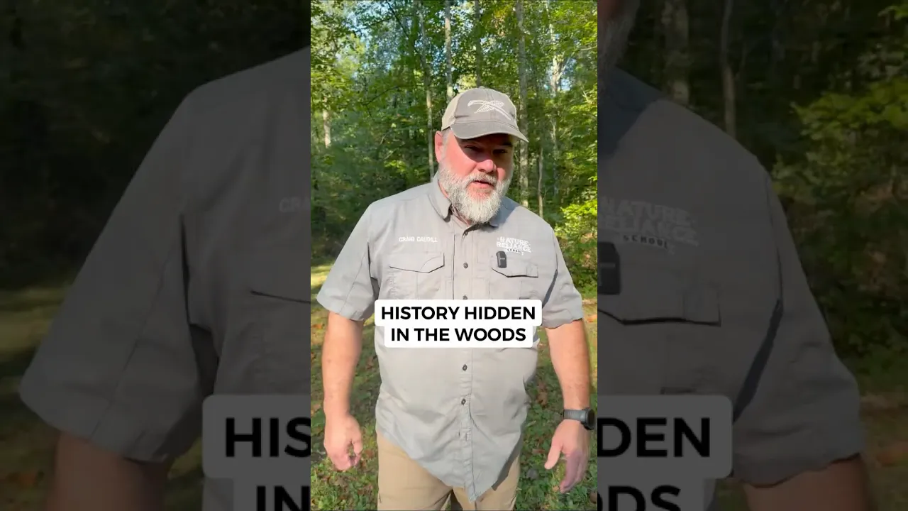 Lost iron furnace: Kentucky's hidden industrial past
