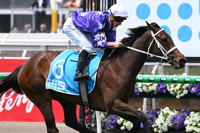 'Holy heck': Waller stunned after star mare’s Melbourne Cup blow