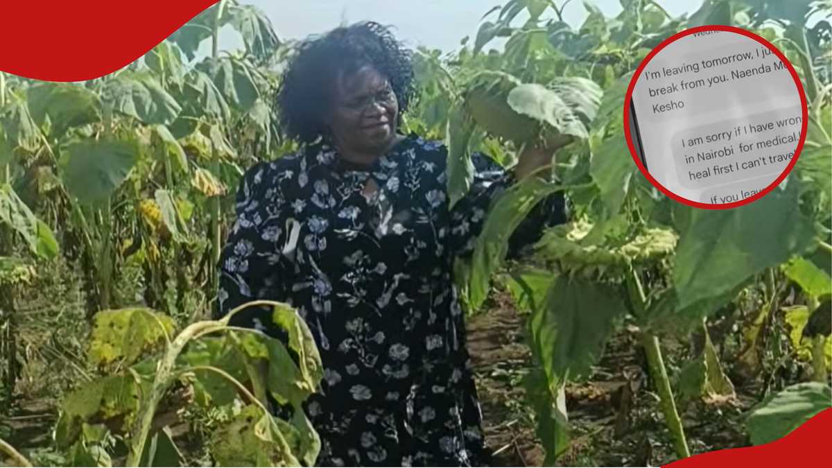 Trans Nzoia: Ex-police officer shares troubling message wife sent hours ...