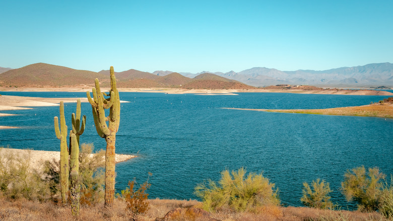 The sun-soaked, underrated Arizona city with a dazzling lake, public art, and idyllic parks