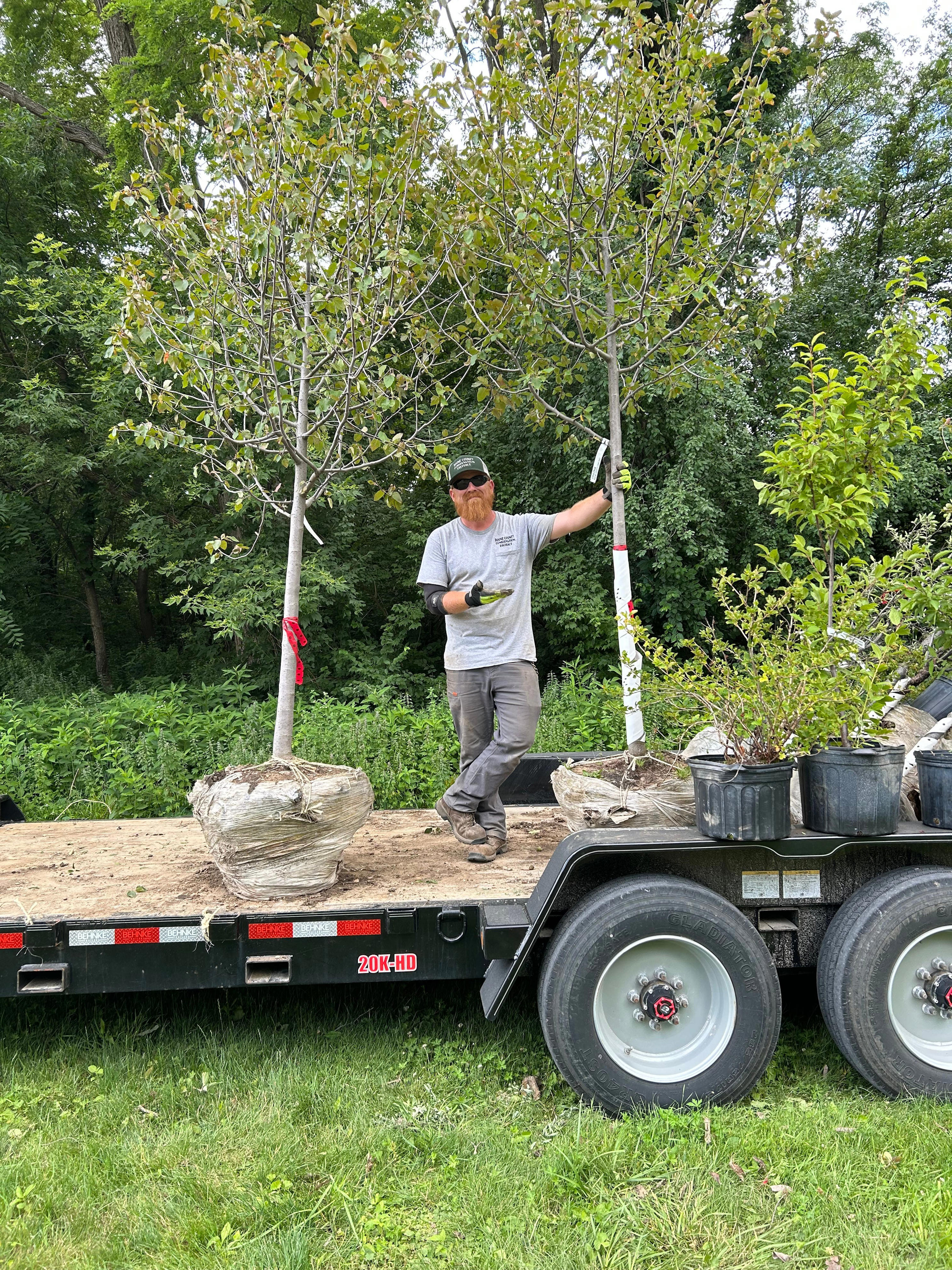 Plant native trees at the Boone County fall event