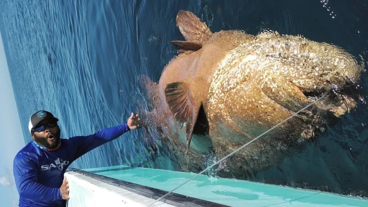 He grabbed the rope with both hands... then a giant grouper took off