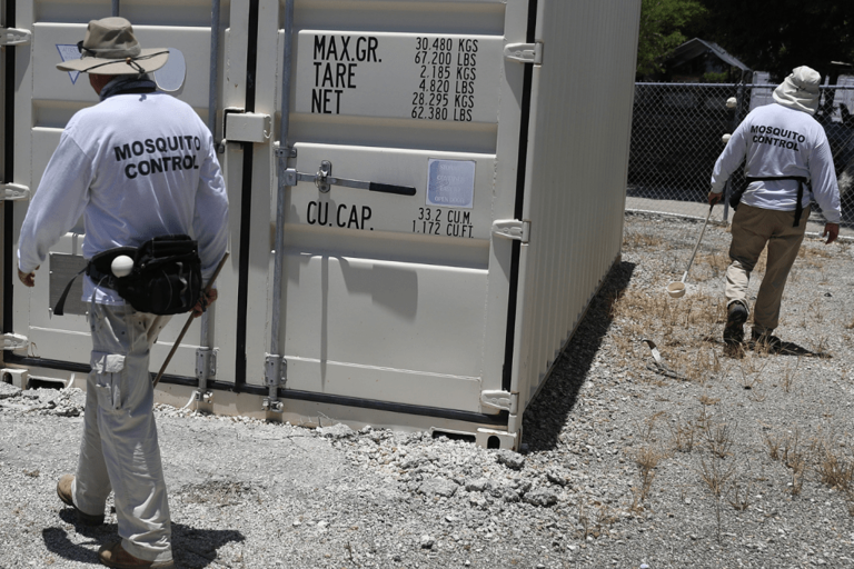 Map shows dengue fever cases as Florida declares state of emergency