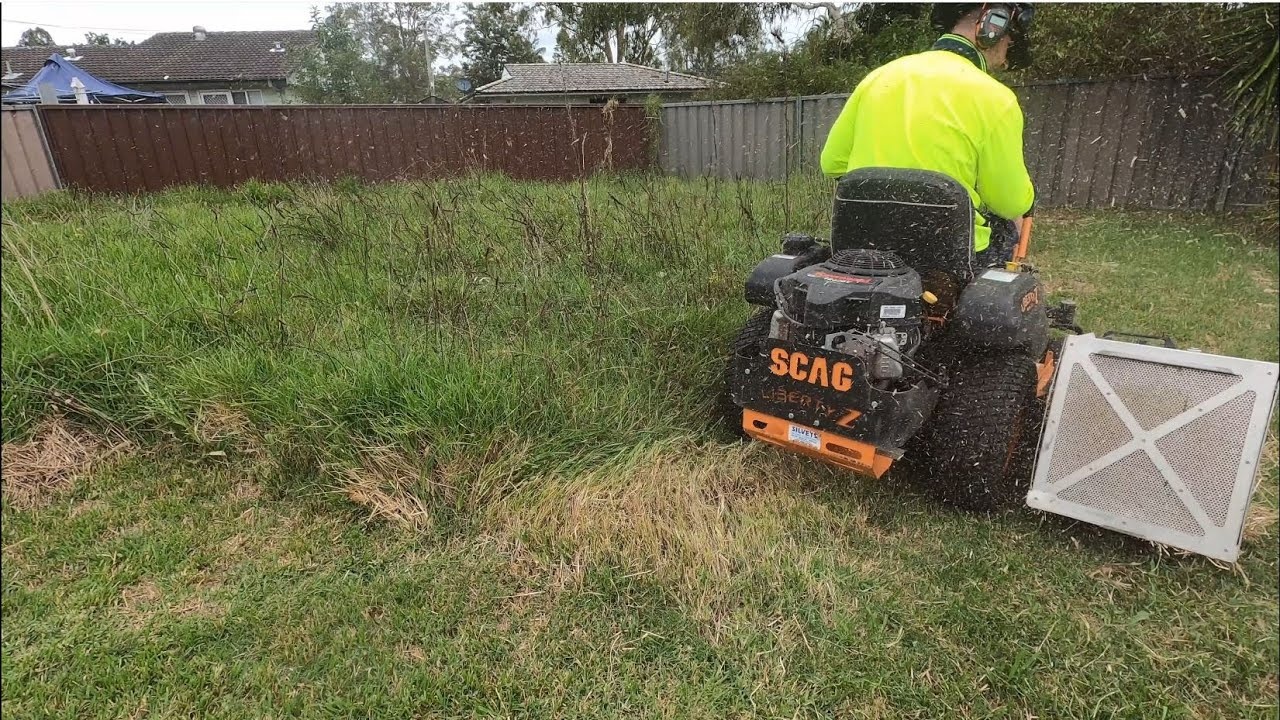 The backyard had been neglected for years... then he started cutting