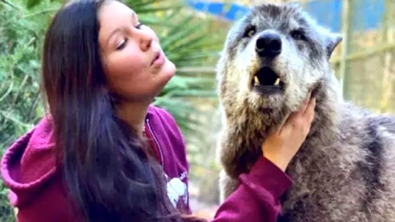 Experts solve the mystery of Yuki, the shelter dog that wouldn’t stop ...