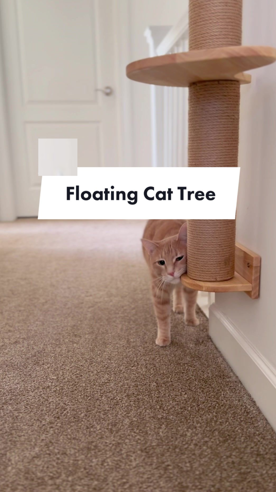 Floating cat tree design ideas for better home spaces