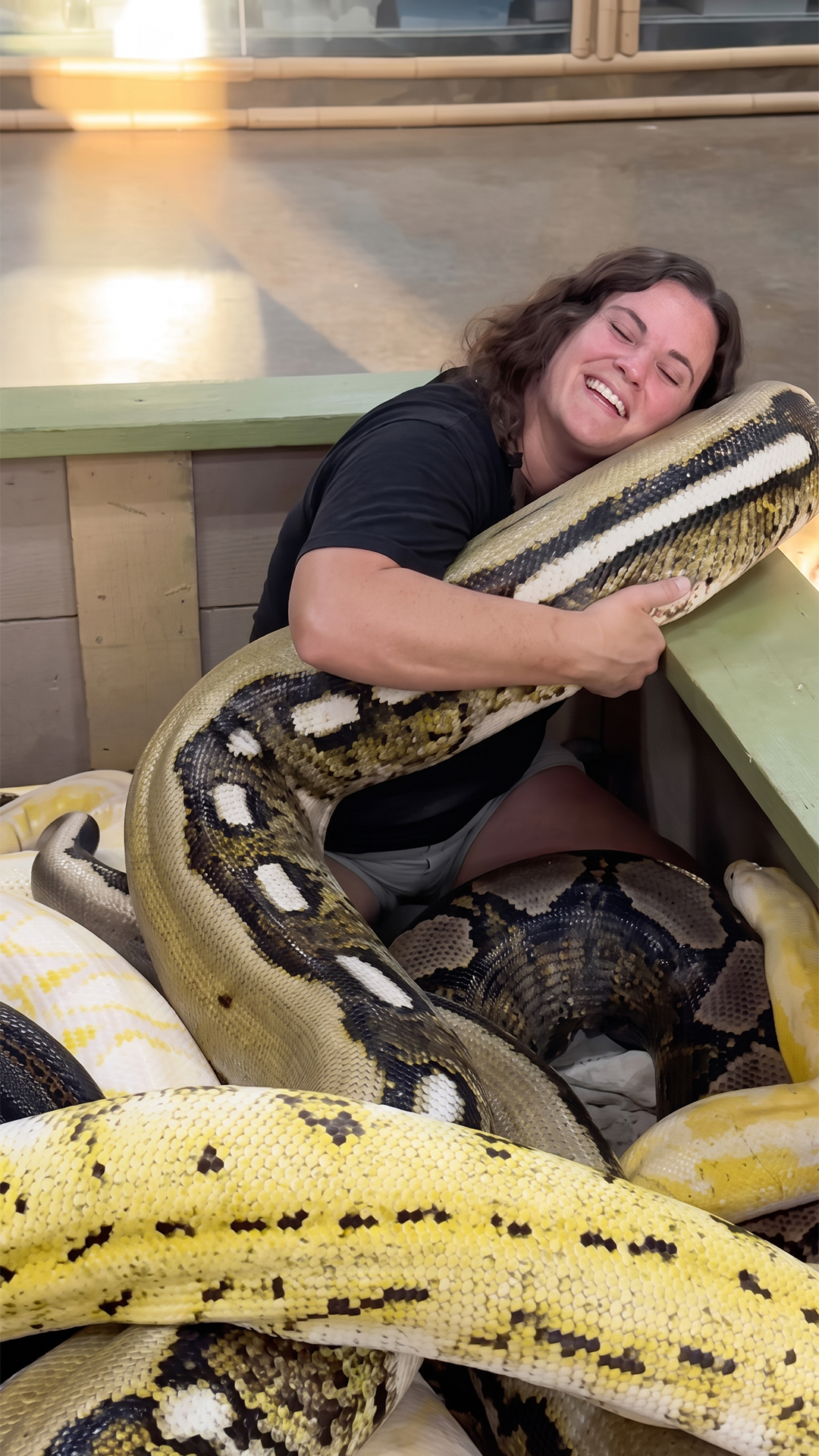 These beautiful pythons want nothing to do with humans