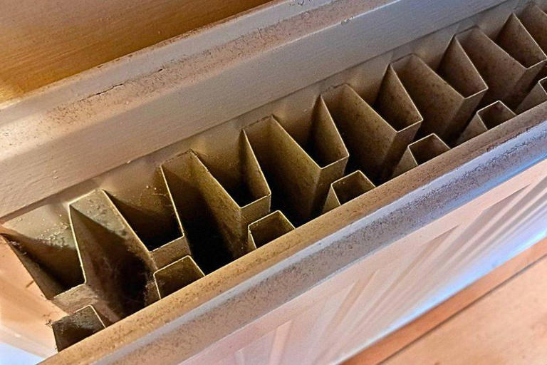 Radiators will heat up better in autumn if cleared with an everyday ...
