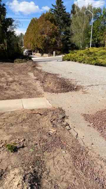 Hard work to clear gravel and dig out stubborn tree roots