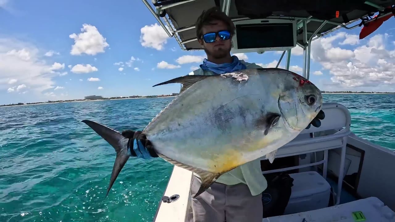 20–30 dives for one 35-pound fish - and it still wouldn’t come close
