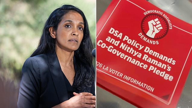 Nithya Raman branded a socialist 'wolf in sheep's clothing'