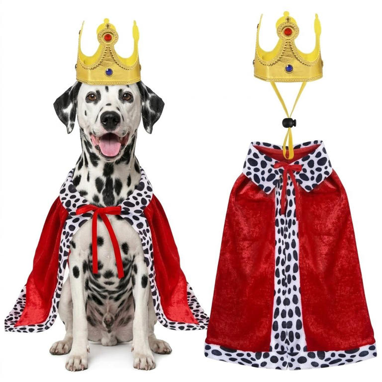 Disfraces de Halloween para perros y gatos: seis ideas y cómo elegirlos sin poner en riesgo a tu mascota