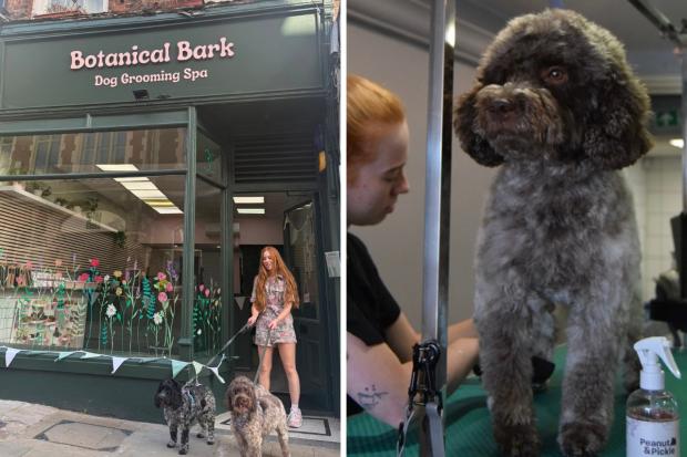 New dog grooming salon opens in Hertfordshire offering bespoke treatments