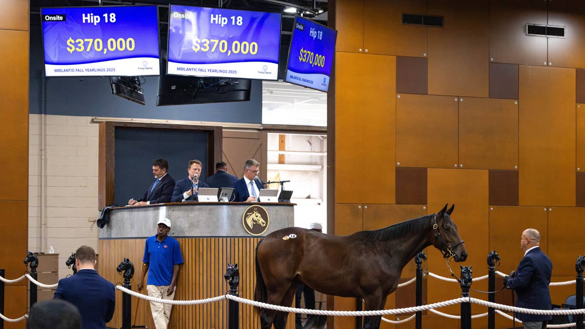 Fasig-Tipton's 2026 Eastern Fall Yearling Sale catalog now online