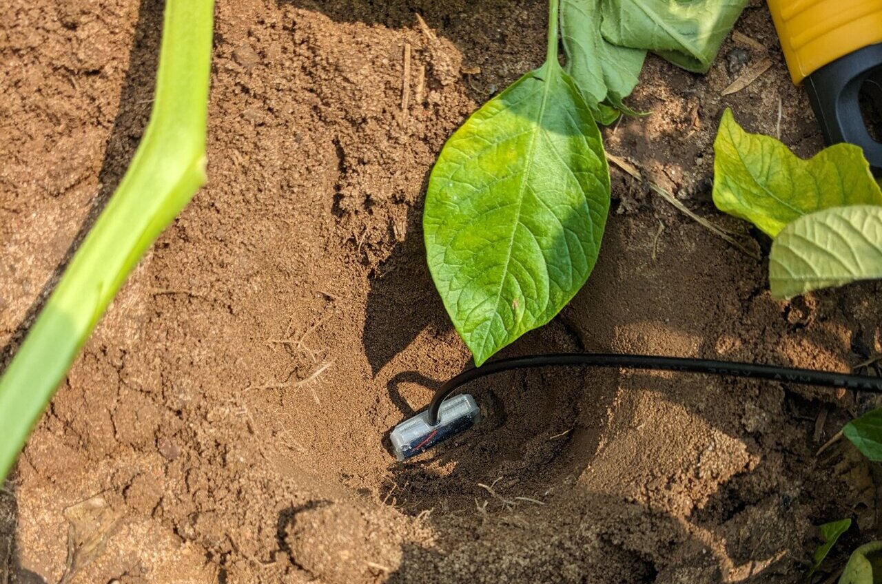 Low cost Sensor Tracks Soil PH Continuously For Months Across Varied Soils