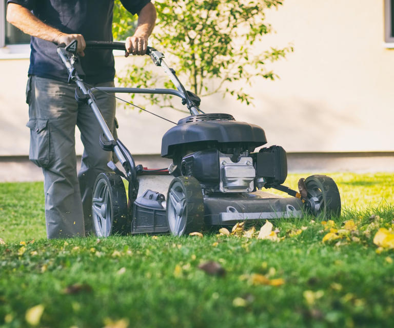 Don't put your garden to bed until you've done these 6 things – as ...
