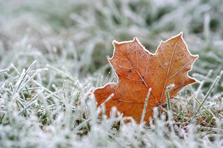 Met Office issues polar vortex UK update amid El Nino fears as experts ...