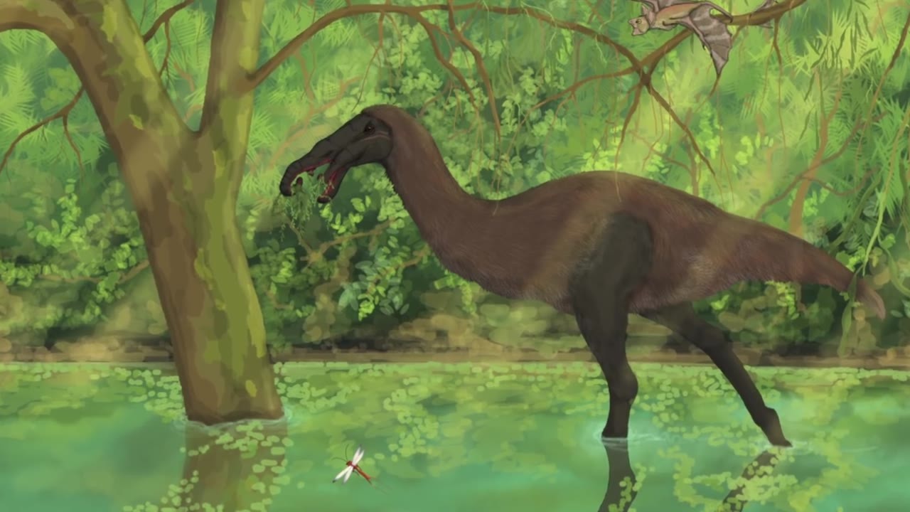Evolution turned their ears into branch-grabbing limbs