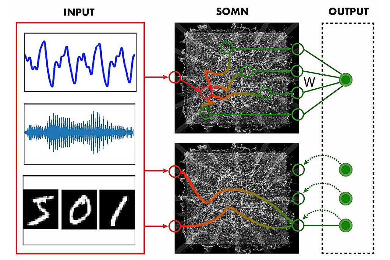 Toward physical AI: When the hardware becomes the neural network