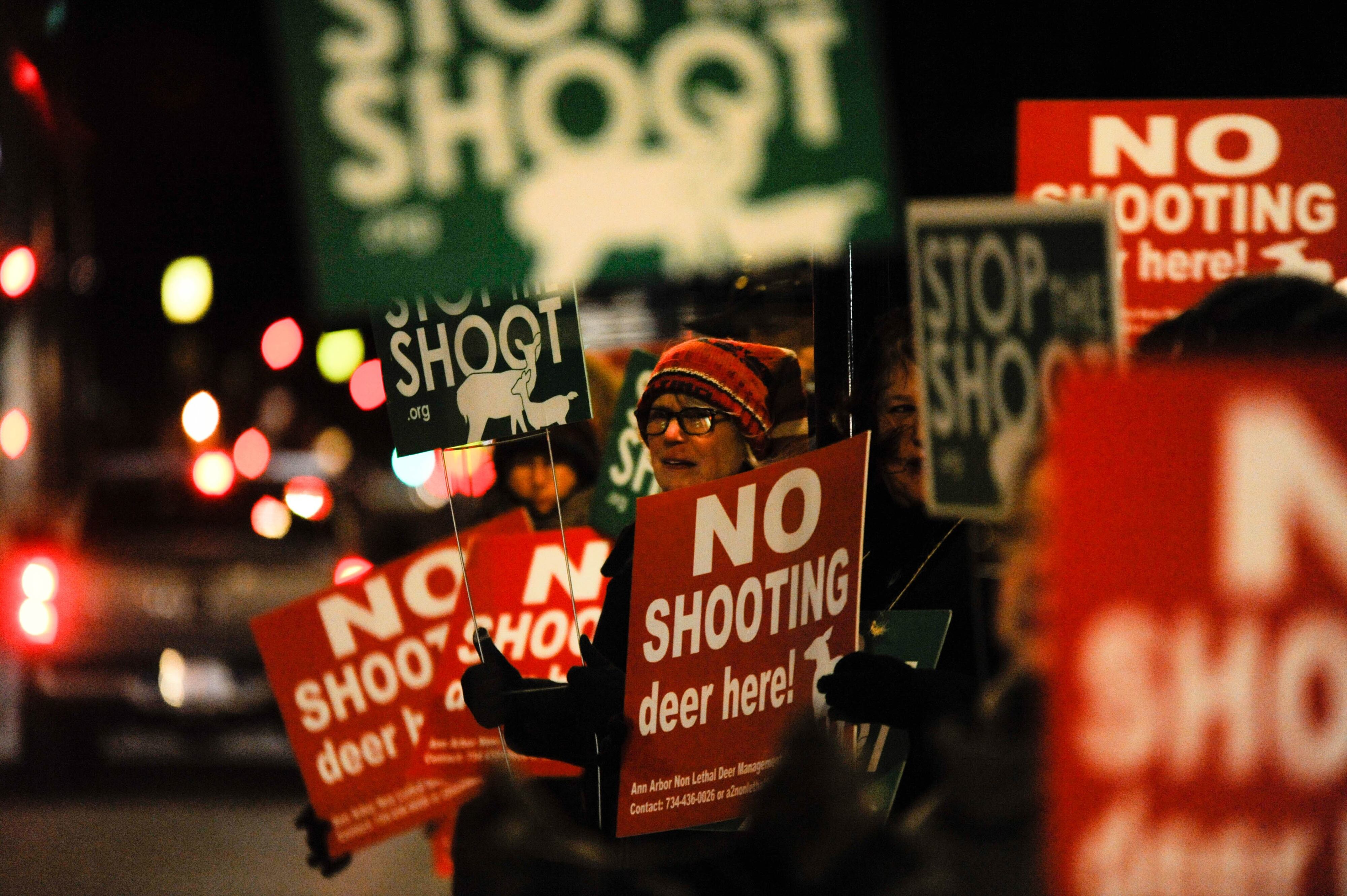 Deer management back on Ann Arbor’s agenda, Humane Society speaks out