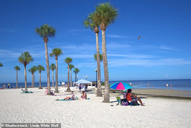 Mosquitoes carrying 'breakbone fever' virus spread to US as outbreak ...