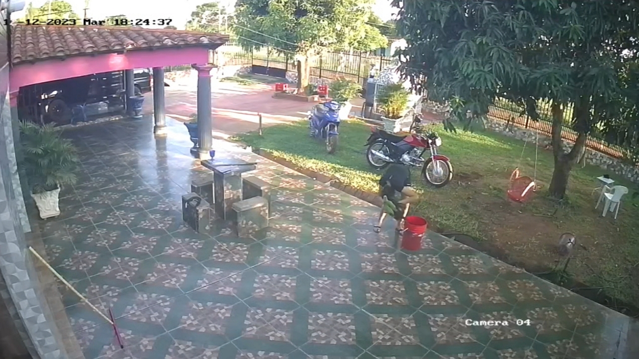 Bird lands on a woman's head after falling from a tree
