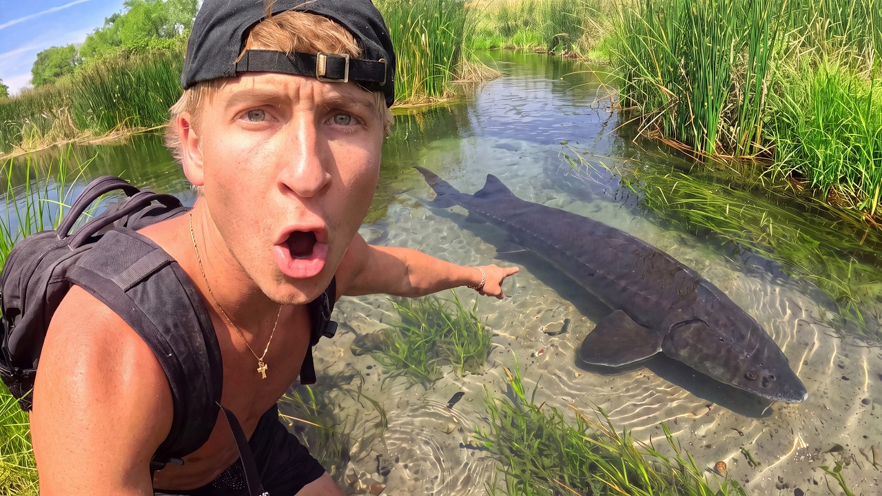 This tiny creek is holding monster fish!🐟