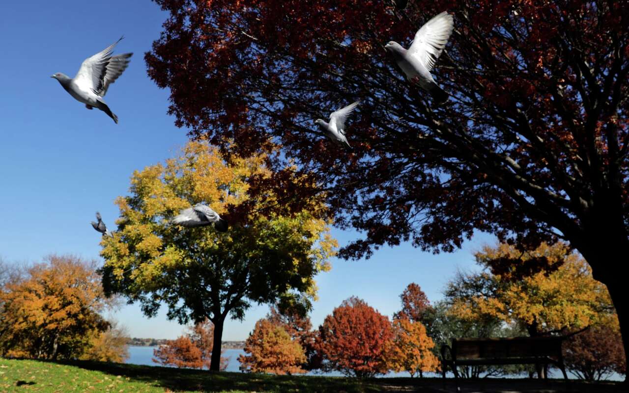 Cooler temperatures arrived in Dallas-Fort Worth this week, but are ...